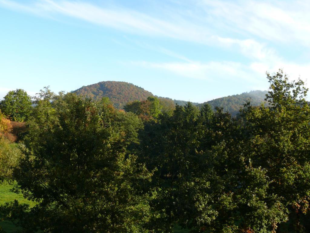 Fewo Bemmann Deisfeld ห้อง รูปภาพ